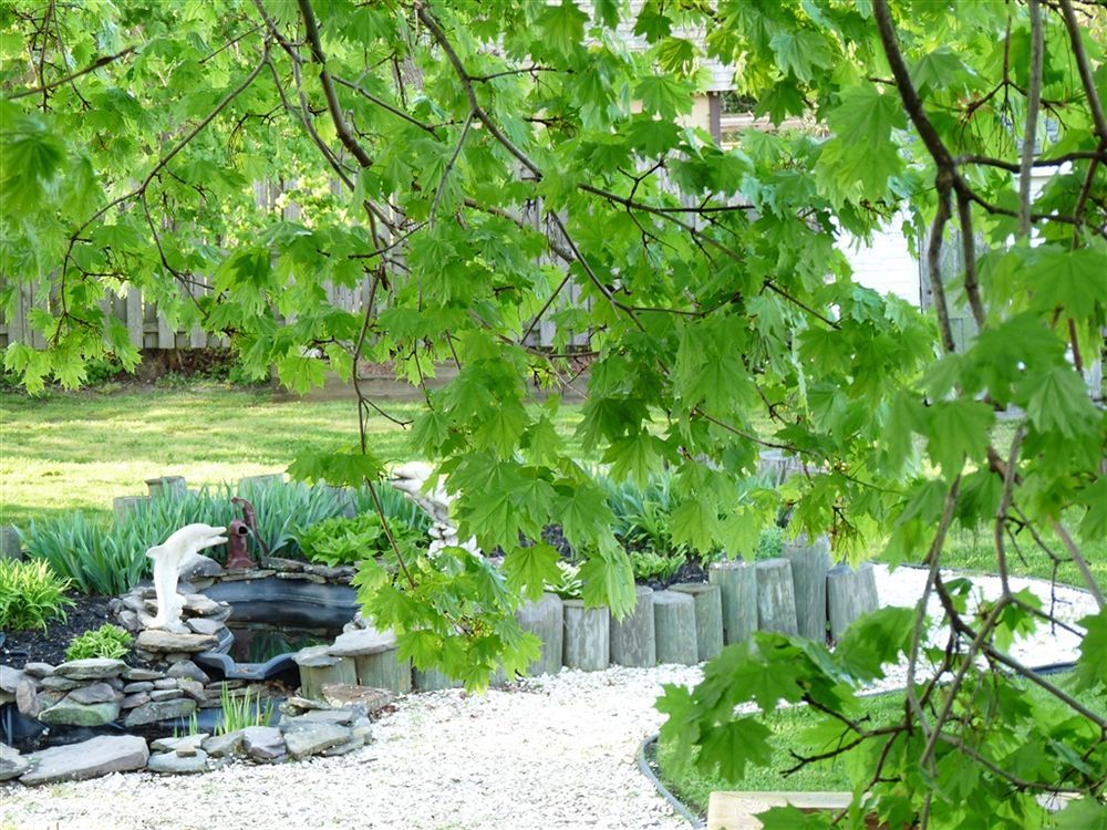Tuckerton J. D. Thompson Inn Bed And Breakfast מראה חיצוני תמונה